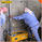 Cement Wall Mortar Plastering Machine 0.75KW / 220V / 50HZ Hydraulic System supplier